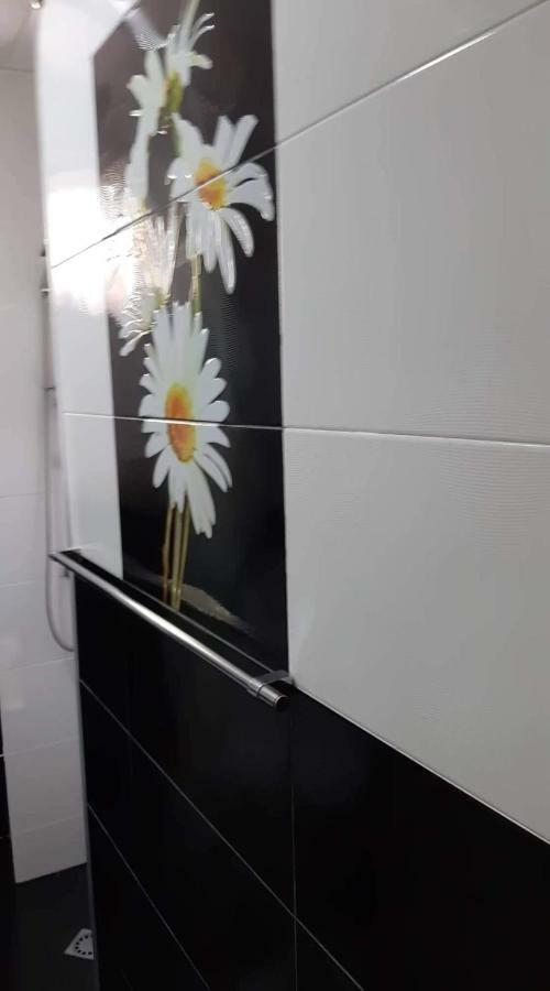 第比利斯Newly Renovated House公寓 外观 照片